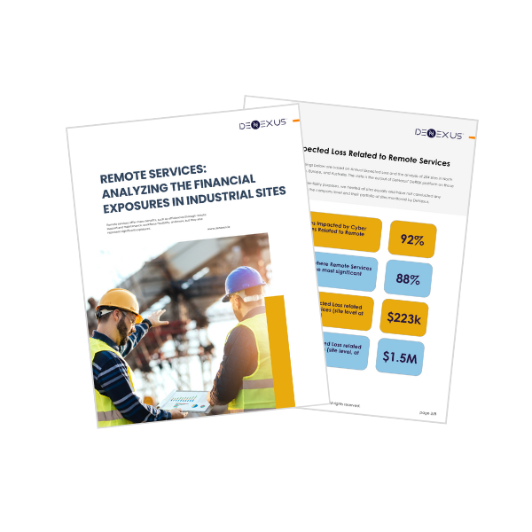 Remote Services in Industrial Environments: Financial Risk Report