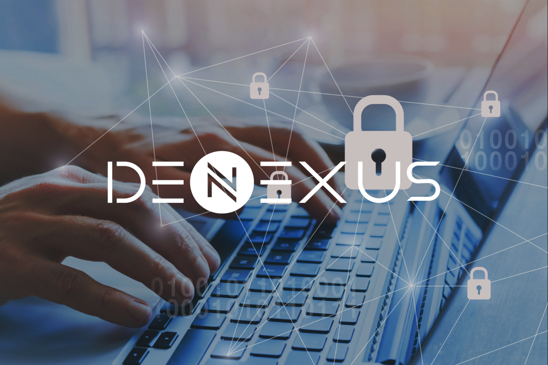 DeNexus Appoints Luis Javier Sahuquillo as CFO | Leadership